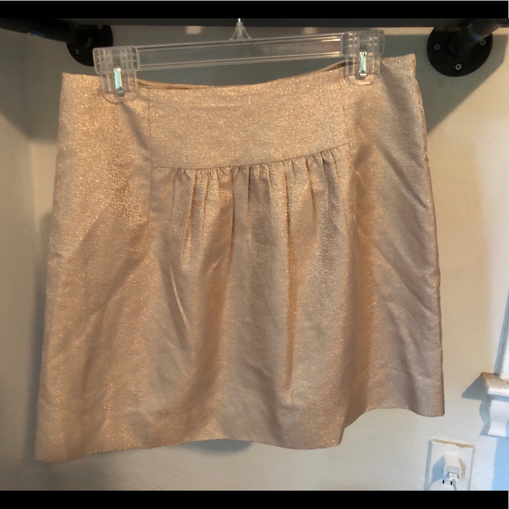 J Crew Skirt